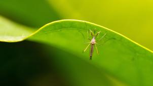 shardar-tarikul-islam-j8a6h1D9vZw-unsplash