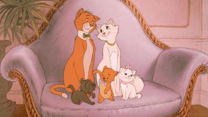 20193414.jpg-r_1920_1080-f_jpg-q_x-xxyxx