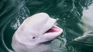 tengyart-Rn33nuiN6EM-unsplash