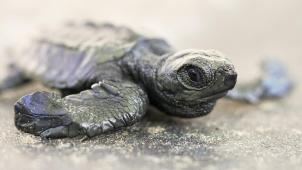 jeremy-bezanger--SEl6BrfZtk-unsplash