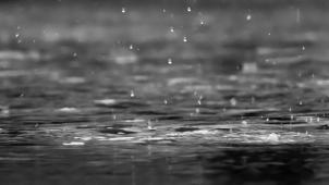 reza-shayestehpour-Nw_D8v79PM4-unsplash