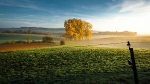 vincent-foret-Goh3HHwu0D4-unsplash