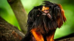 pl22juli2022jonasverhulst-24