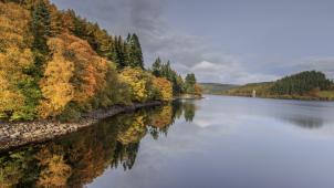 Lake vyrnwy