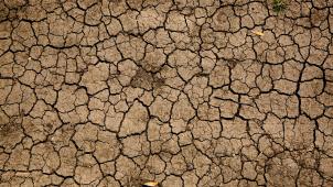 mike-erskine-GKFsewk-hz0-unsplash