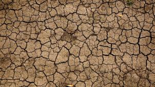 B9731993636Z.1_20220905081008_000+GOUL6FRBN.1-0