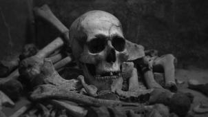 katherine-kromberg-srzu0DevwJo-unsplash