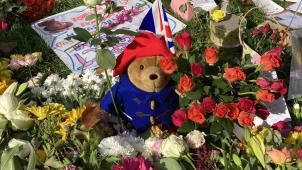 Twitter - TonyFagan7