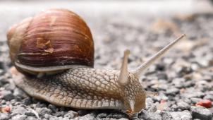 prometheus-design-Bgw_p_Sze4A-unsplash