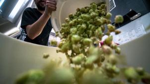 elevate-yxFnOUSjx6E-unsplash