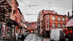 pexels-lexi-lauwers-5524332