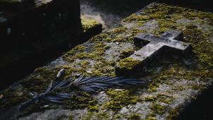 kenny-orr-1AVTo_bdHWs-unsplash