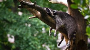 simon-infanger-hgdh6IwKi7Y-unsplash