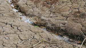 markus-spiske-d4SLJNrU4rs-unsplash