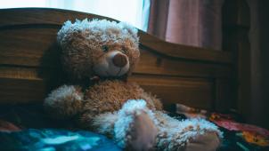 pexels-lisa-fotios-832999