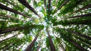 arnaud-mesureur-7EqQ1s3wIAI-unsplash