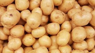 rodrigo-dos-reis-h3AkzboxK4Q-unsplash