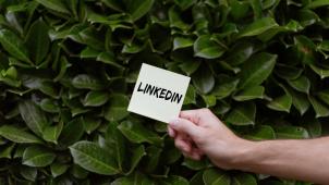 pexels-oleg-magni - feuille linkedin - Pourquoi être sur LinkedIn quand on est é