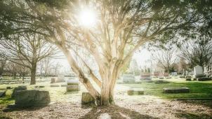 kevin-andre-vohTY5Yl3_A-unsplash