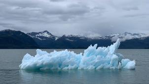 melissa-bradley-96iwiAxOuJw-unsplash