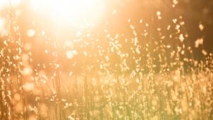 kent-pilcher-87MIF4vqHWg-unsplash