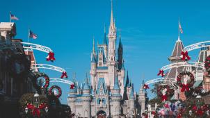 pexels-craig-adderley-3411135