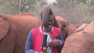 chrome_xjLaS7Md72 (2)