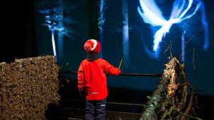 Foto Harry Potter The Forbidden Forest Experience