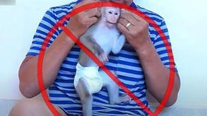 240833546_376727860649699_3684082281181601015_nxx