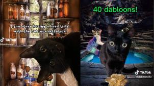 dabloons jpg