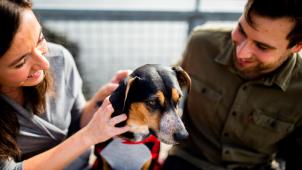 chewy-fGxiRXr2oZg-unsplash