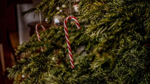 jennifer-bonauer-vnIxbfat7DM-unsplash