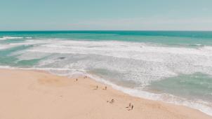 shawnn-tan-vV7dgoL94Ig-unsplash