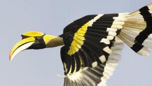 5110157710_0d643f27dc_o