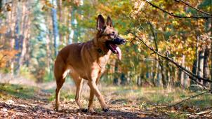 przemyslaw-smit-mt9PhcxX64k-unsplash