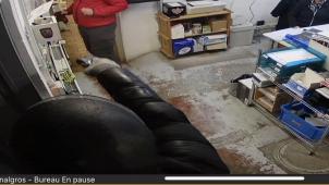 325399116_545708994150891_3223715854321925418_n