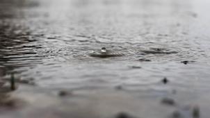 nicola-anderson-Og1kXpFzf6Q-unsplash