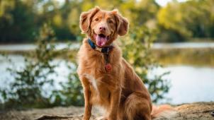 jamie-street-wFbkj9ilGnQ-unsplash