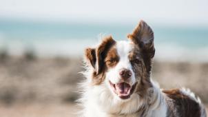 pauline-loroy-U3aF7hgUSrk-unsplash