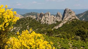 Foto Vaucluse Provence (1)