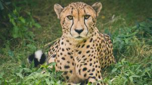 christin-noelle-7kyEghypC5E-unsplash