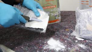 belgaimage-173473909-full