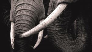 bisakha-datta-BfVLvSO51tc-unsplash