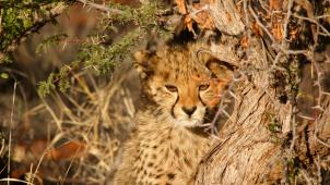 eric-macdonell-Ium_9JvqKPs-unsplash