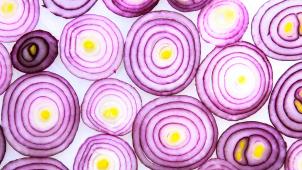 wilhelm-gunkel-y4Yf84W-DKc-unsplash