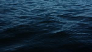 conor-sexton-hRemch0ZDwI-unsplash