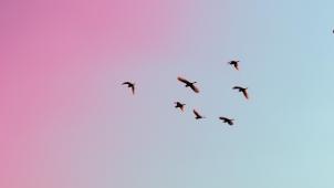 gauravdeep-singh-bansal-caC13DIDe9E-unsplash