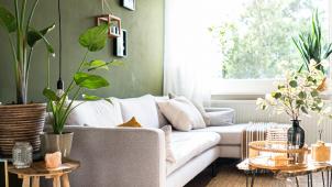 jane-duursma-yxVDv1hRXOo-unsplash