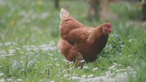 tina-xinia-jutd9VlBm_o-unsplash