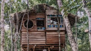 pexels-tiff-ng-3700226